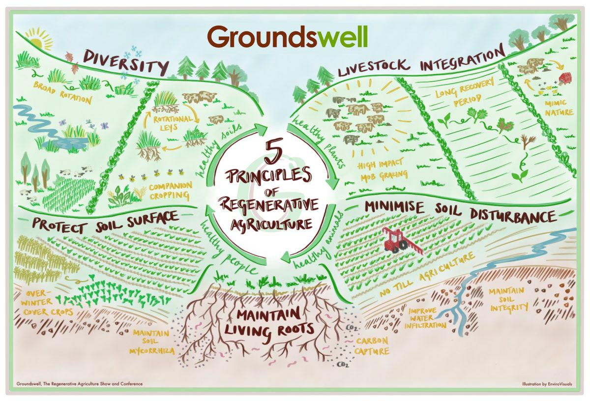 5 principles of regenerative agriculture