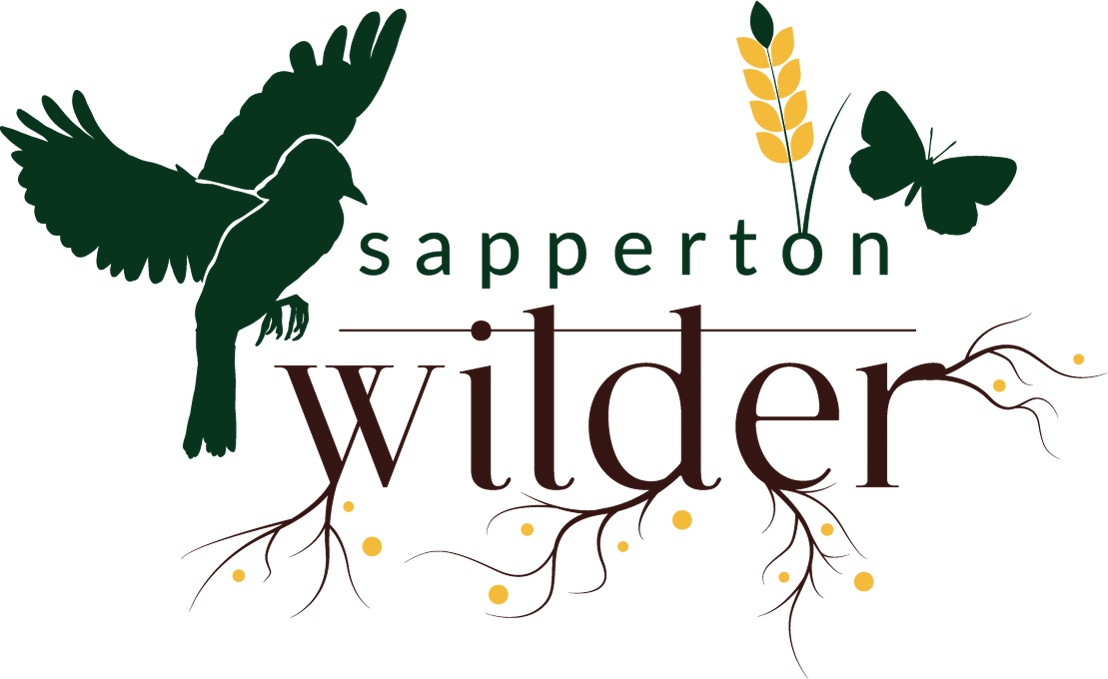 Sapperton Wilder