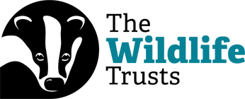 The wildlife trusts logo